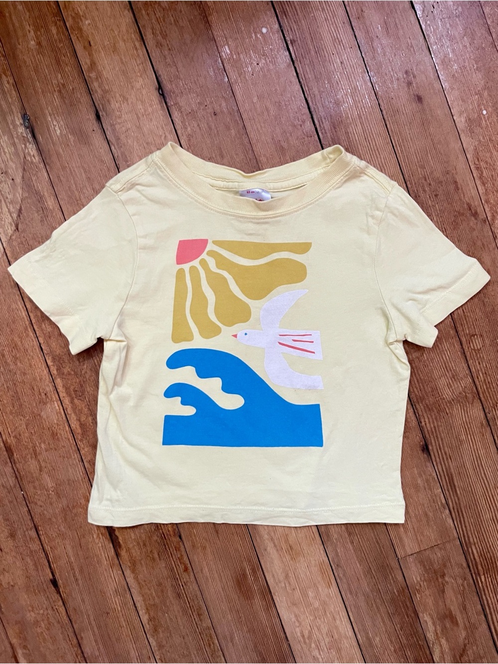 Hanna Andersson 100% Cotton Tee 2T